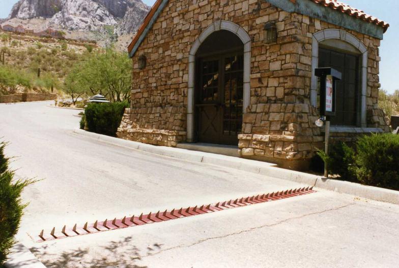 COBRA™ In Ground Traffic Spike System